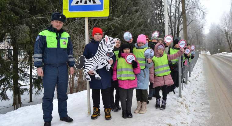 «Зебра - главная на дороге!».